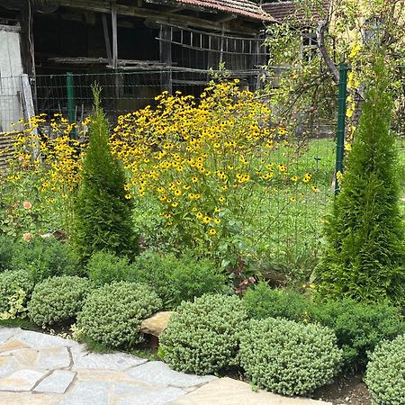Verta House Trjavna Kültér fotó
