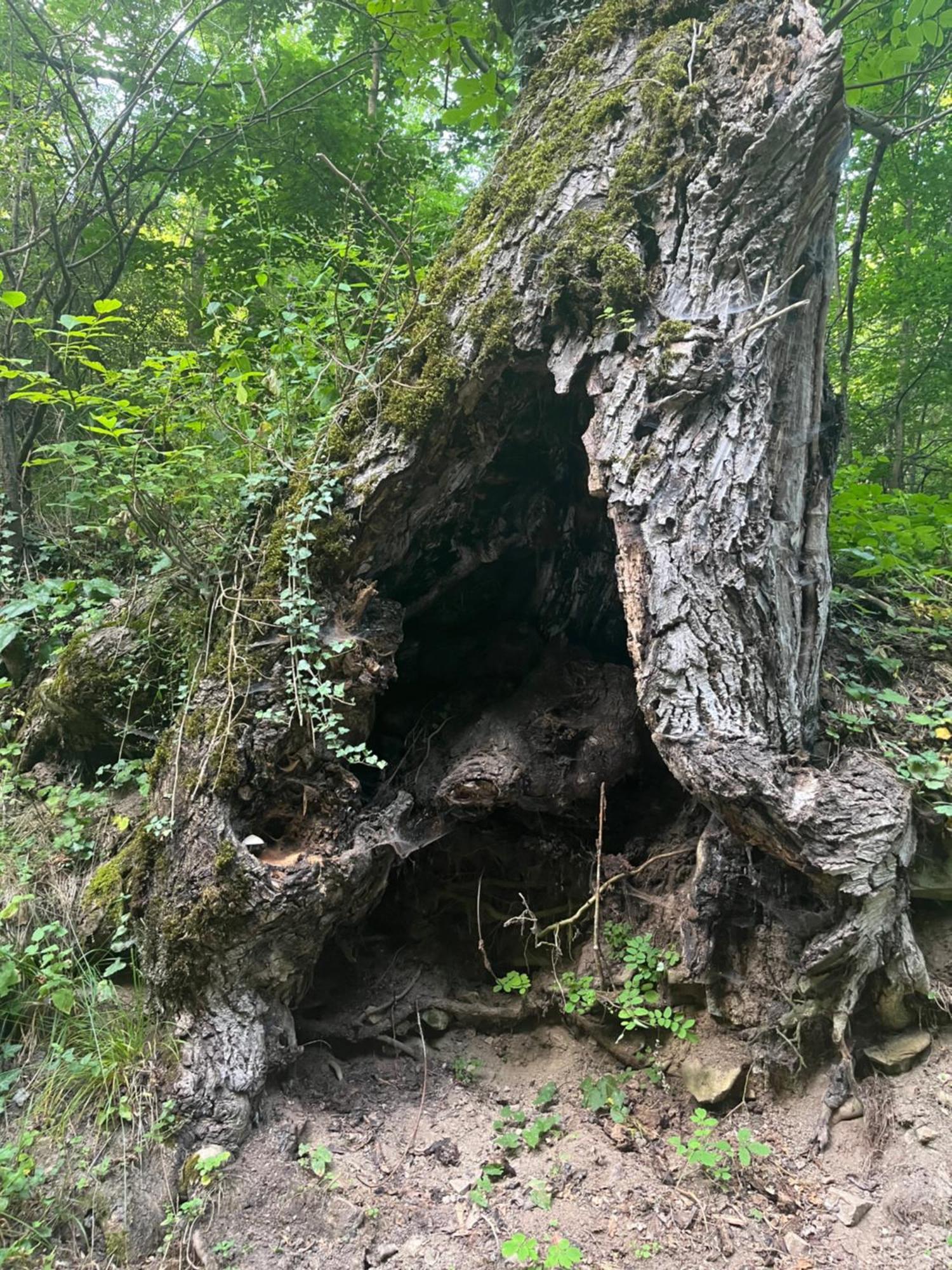 Verta House Trjavna Kültér fotó